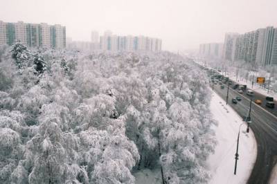 Москву в течение суток заметет снегом