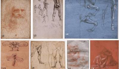Всюду жизнь: рисунки Леонардо кишат бактериями и человеческой ДНК