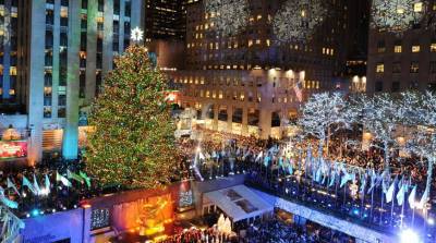 В Нью-Йорк привезли облезлую новогоднюю елку, но при установке сделали супермилое открытие (Фото)