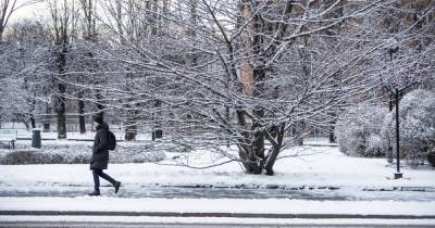 Синоптик рассказала, когда в Калининграде снова выпадет снег