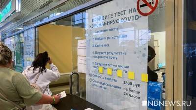 Коронавирус из загранпоездок привезли меньше 2% прибывших в Свердловскую область