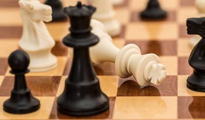 Тюменцы начали шахматный турнир в Сочи с проигрыша - nashgorod.ru - Санкт-Петербург - Сочи - Тюмень