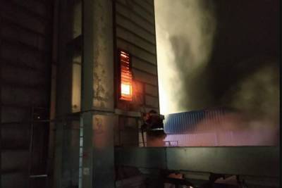 На элеваторе в Винницкой области сгорело 45 тонн семечек