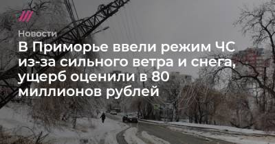 В Приморье ввели режим ЧС из-за сильного ветра и снега, ущерб оценили в 80 миллионов рублей