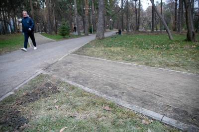 Власти Петербурга подсчитывают ущерб, который ураган нанес городским паркам и скверам