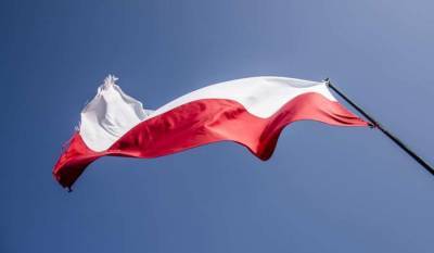В Польше призывают НАТО «отпугнуть» Россию от Грузии и Украины