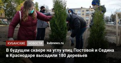 В будущем сквере на углу улиц Постовой и Седина в Краснодаре высадили 180 деревьев