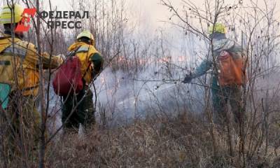 Челябинская область стала лучшей в УрФО по ликвидации лесных пожаров