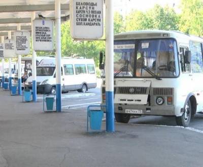 В Сурском, Карсунском и Павловском районах будут курсировать автобусы