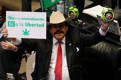 Верхняя палата парламента Мексики одобрила легализацию рекреационной марихуаны