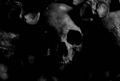 В лесах Кировского района нашли скелет в свитере и галошах