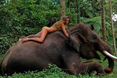 Модель попозировала голышом на слоне в лесу и была пристыжена в сети