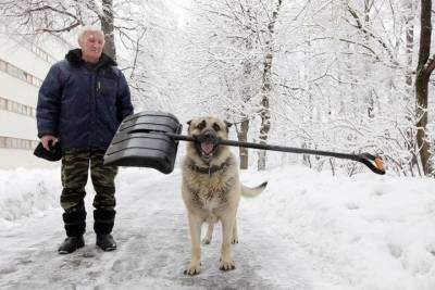 В Москве к субботе ожидают до 8 см снега