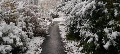 В субботу в Карелии пойдет снег и похолодает до нуля