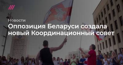 Оппозиция Беларуси создала новый Координационный совет