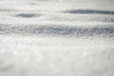 Снег станет угрозой для проводов и деревьев в Туле