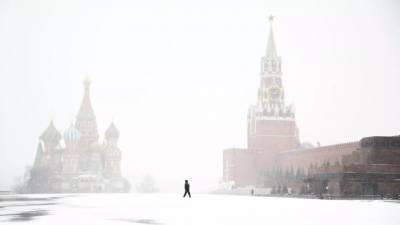 Вильфанд дал прогноз снежного покрова в Московском регионе