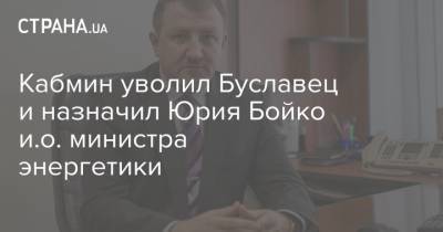 Кабмин назначил Юрия Бойко и.о. министра энергетики