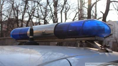 Правоохранители обнаружили труп с пакетом на голове в Подмосковье