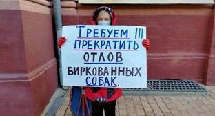 Астраханские зоозащитники обвинили мэрию в халатности