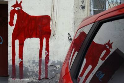 Петербуржцы попросили сохранить граффити с лошадью на Васильевском