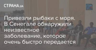 Привезли рыбаки с моря. В Сенегале обнаружили неизвестное заболевание, которое очень быстро передается