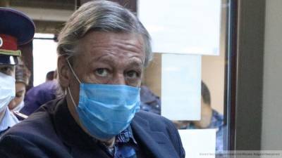 Адвокат Васильев: Ефремов не убеждал свидетелей давать ложные показания