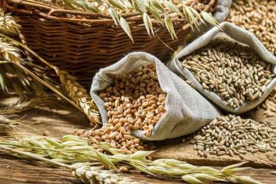 В Тверской области с начала года возбуждено более 20 дел за нарушение правил закупки и хранения зерна