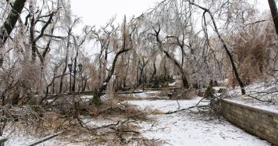 Синоптики заявили об отступлении снежного циклона в Приморье