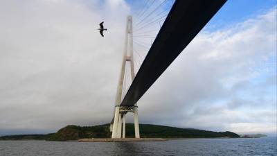 Оболочка ванты Русского моста повисла над морем во Владивостоке