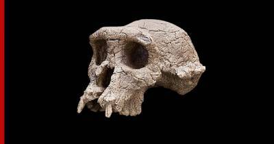Ученые опровергли теорию о самом древнем предке современных людей