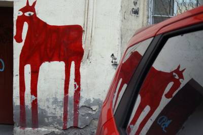 Чиновники предложили решить судьбу граффити с лошадью на Васильевском голосованием