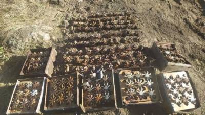 В Крыму обезвредили десятки осколочных авиационных бомб