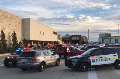 В Висконсине неизвестный стрелял по людям в торговом центре: восемь пострадавших (фото, видео)