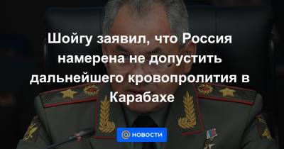 Шойгу заявил, что Россия намерена не допустить дальнейшего кровопролития в Карабахе