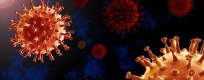Ученые установили суперраспространителей коронавируса