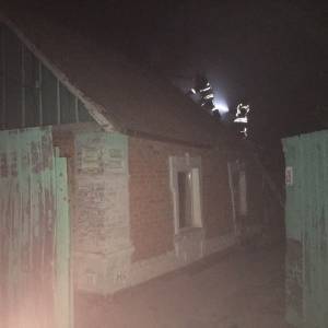 В Запорожской области горела крыша жилого дома. Фото