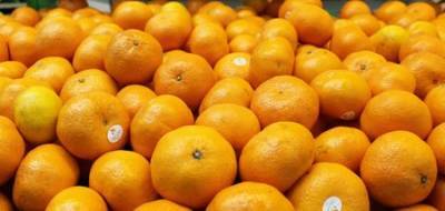 Названы вредные свойства мандаринов