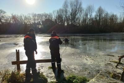 В Пензе двое детей во время прогулки провалились под лёд