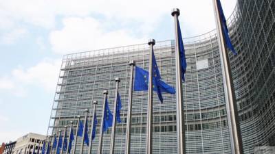 Журналист проник на закрытое совещание Минобороны ЕС в Zoom