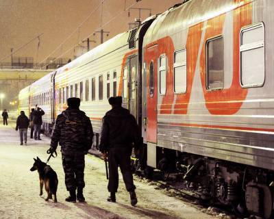 Буйного пассажира поезда, которого пришлось высадить в Бологое Тверской области, приговорили к обязательным работам
