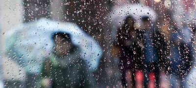 Мокрый снег, дождь и гололедица ждут жителей Карелии в воскресенье