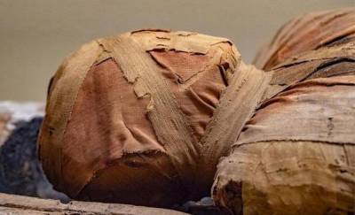 В Тюменской области на базе бюро судмедэкспертизы появилась 2500-летняя мумия