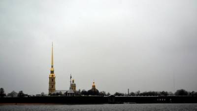 В Петербурге 22 ноября ожидается сильный ветер и до +5 тепла