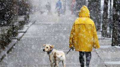 От снега к дождю: на Луганщине ожидается потепление