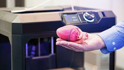 Впервые на 3D-принтере напечатали человеческое сердце в масштабе 1:1