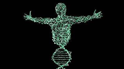 Канадские ученые нашли генную мутацию «вечной молодости»