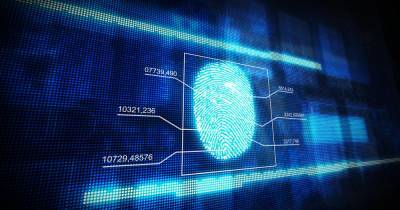 МВД России к 2024 году обзаведется банком биометрических данных