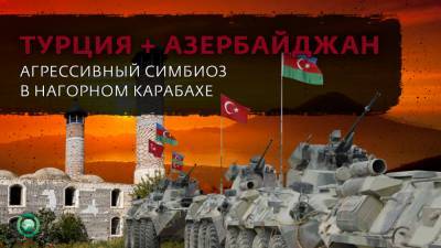 Турция использует Азербайджан для усиления своих позиций в Закавказье