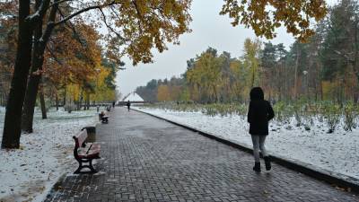 Погода напомнит украинцам о приближении зимы, под ударом несколько областей: свежий прогноз